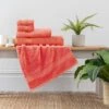 Dunelm Coral Egyptian Cotton Towel -Simple Bathroom 30196033